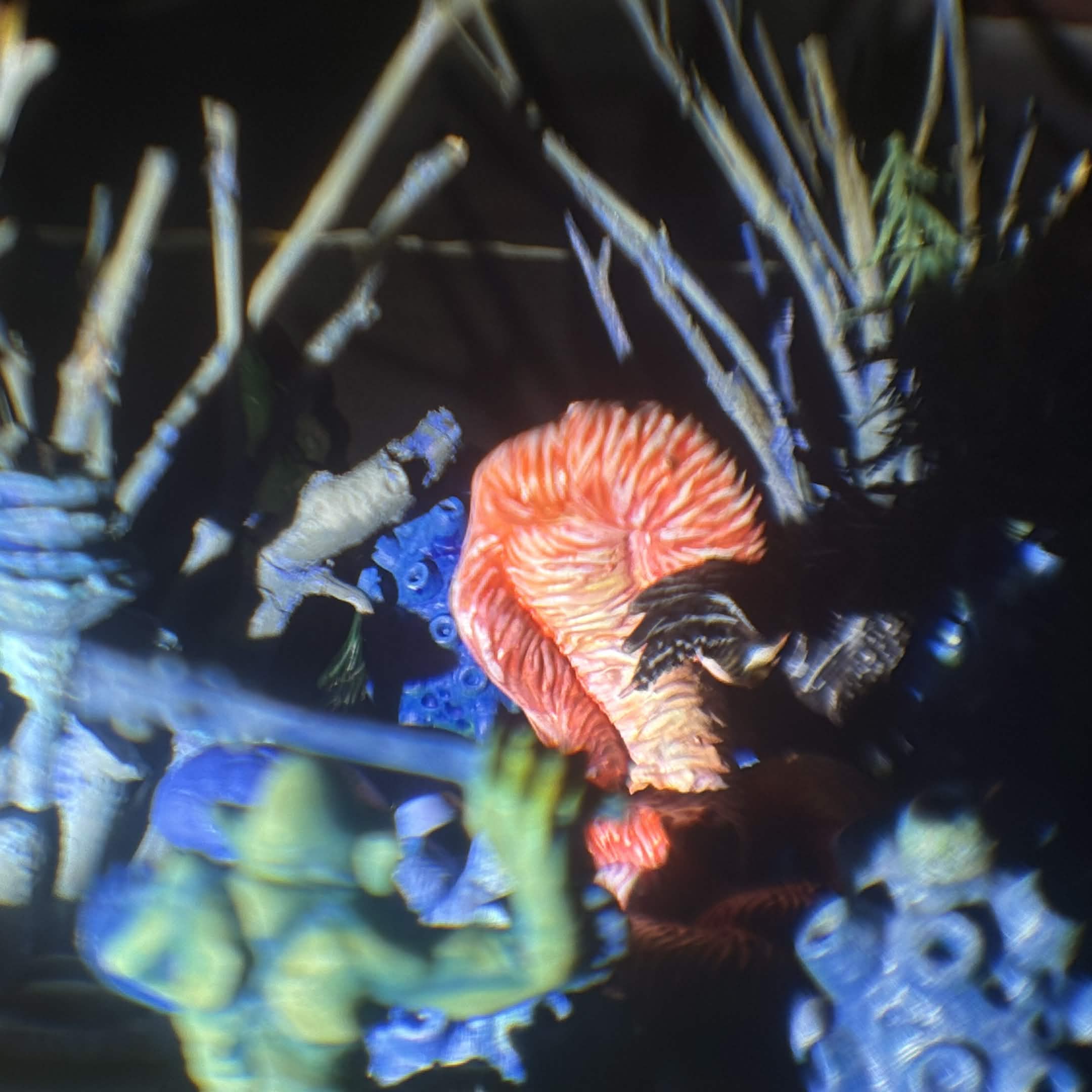 Diorama Scenes 2
